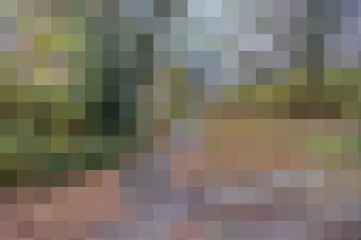 Dillegaard 277 Heerlen thumbnail 21