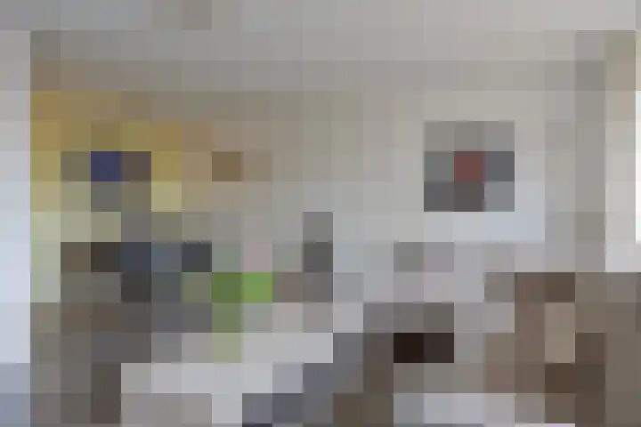 Dillegaard 277 Heerlen thumbnail 5
