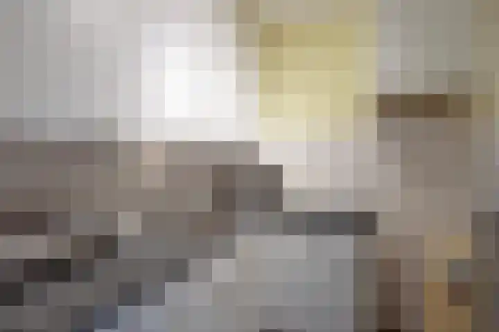 Dillegaard 277 Heerlen thumbnail 9