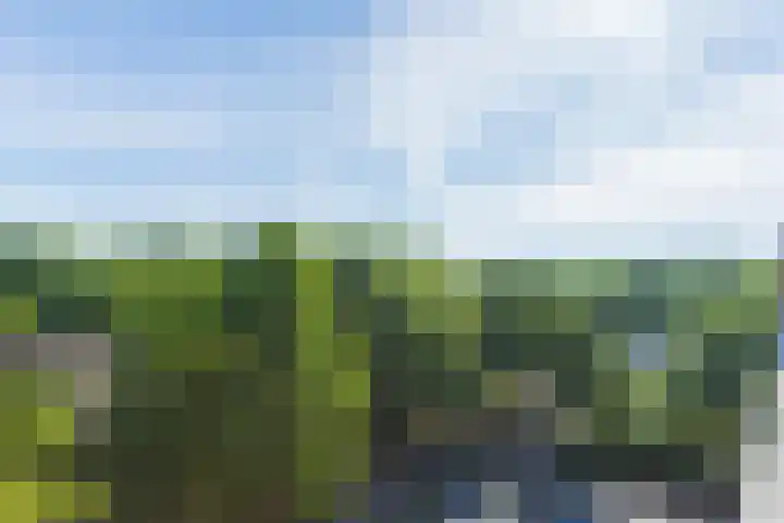 Dillegaard 292 Heerlen thumbnail 12