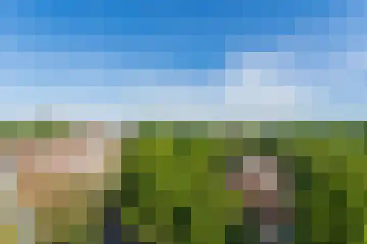 Dillegaard 292 Heerlen thumbnail 13