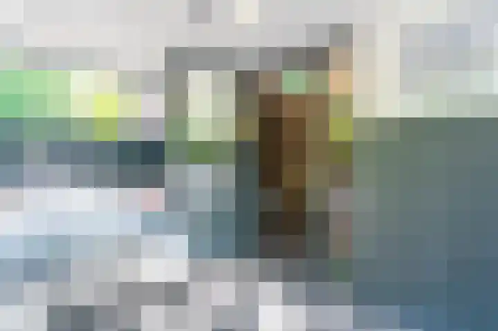 Dillegaard 292 Heerlen thumbnail 15
