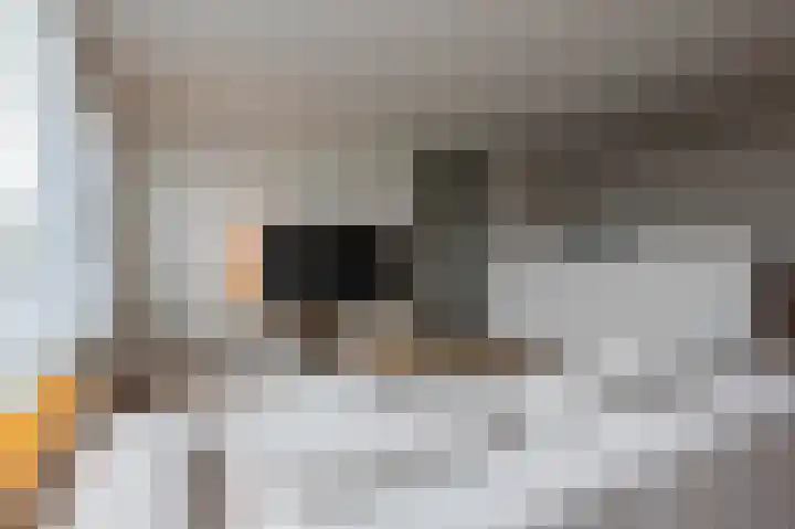 Dillegaard 292 Heerlen thumbnail 4