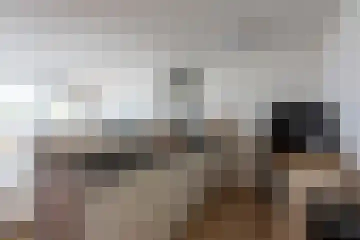 Dillegaard 292 Heerlen thumbnail 5