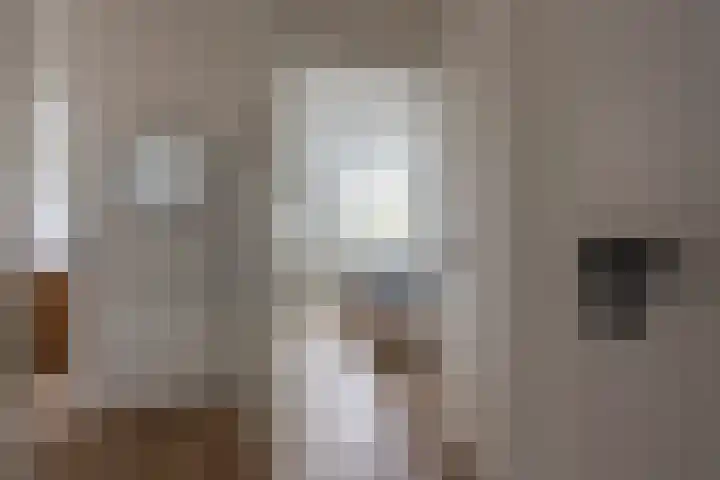 Dillegaard 292 Heerlen thumbnail 8