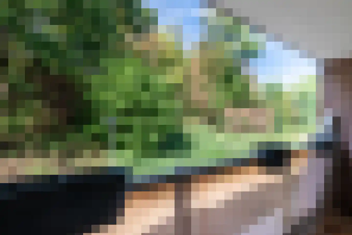 Dillegaard 52 Heerlen thumbnail 16