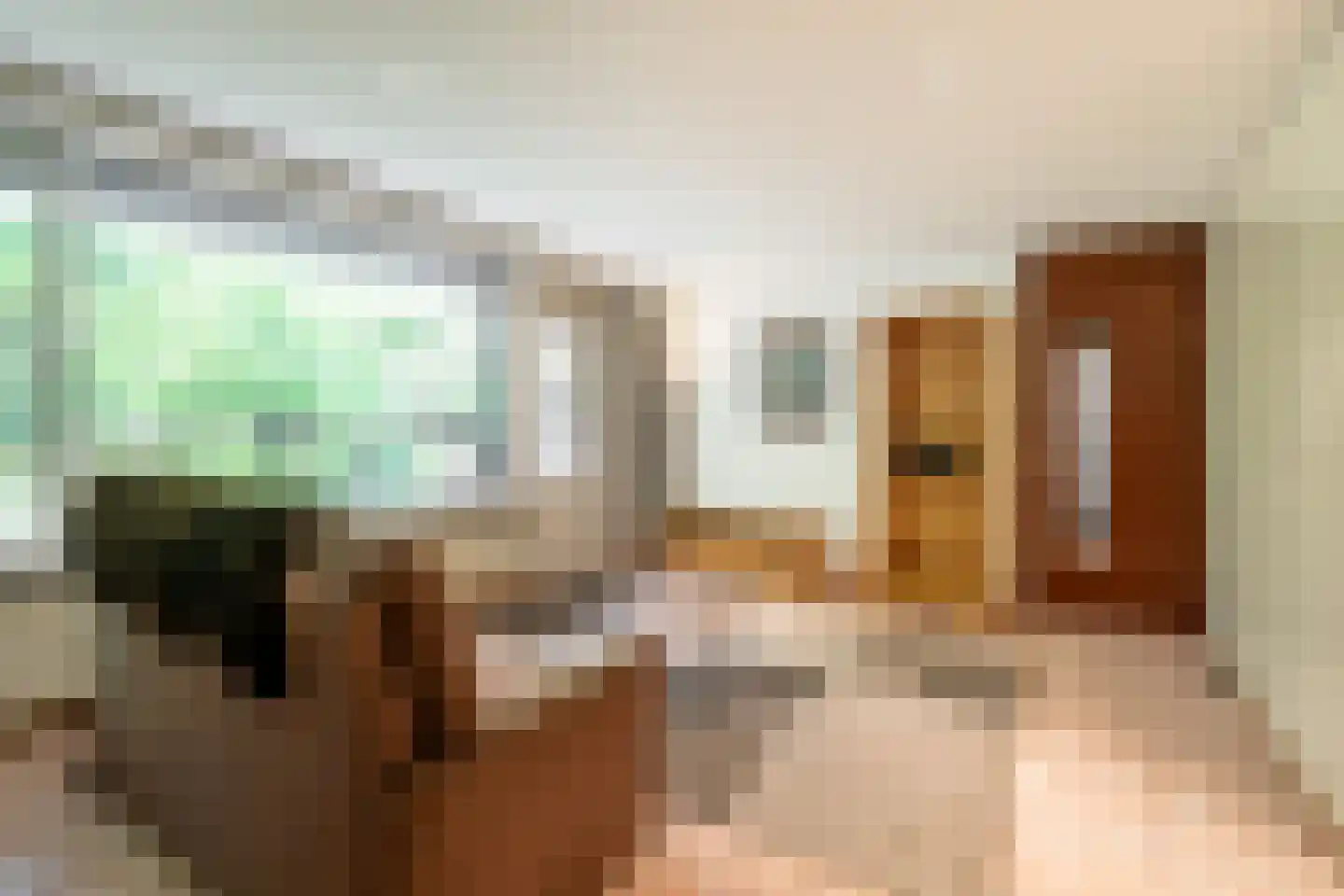 Dillegaard 52 Heerlen thumbnail 4