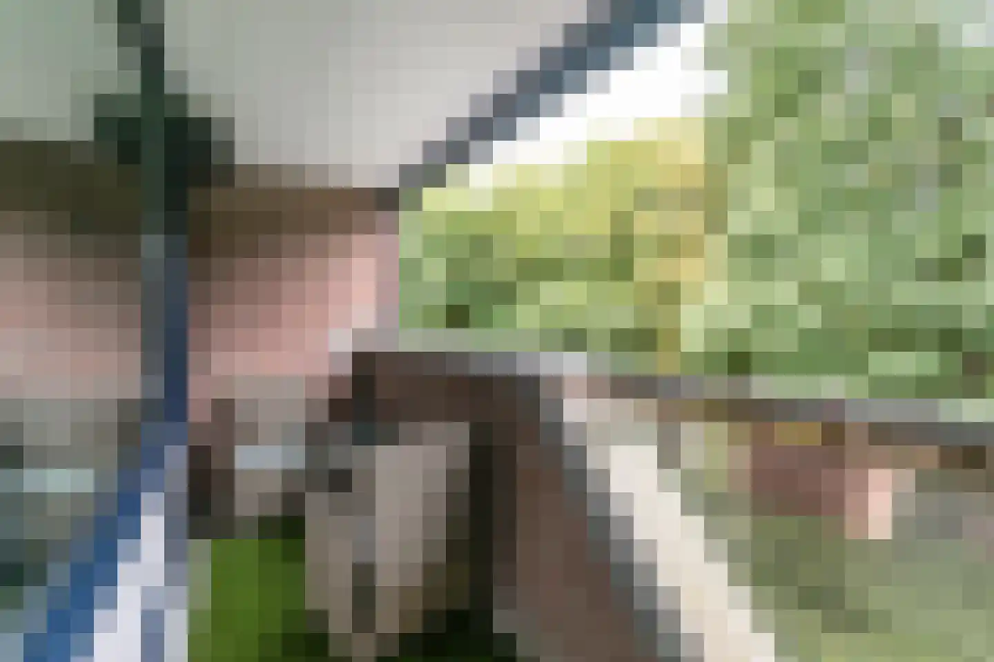 Dillegaard 87 Heerlen thumbnail 12
