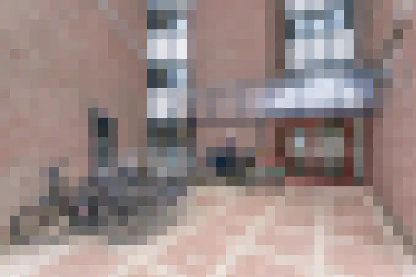 Dillegaard 87 Heerlen thumbnail 31