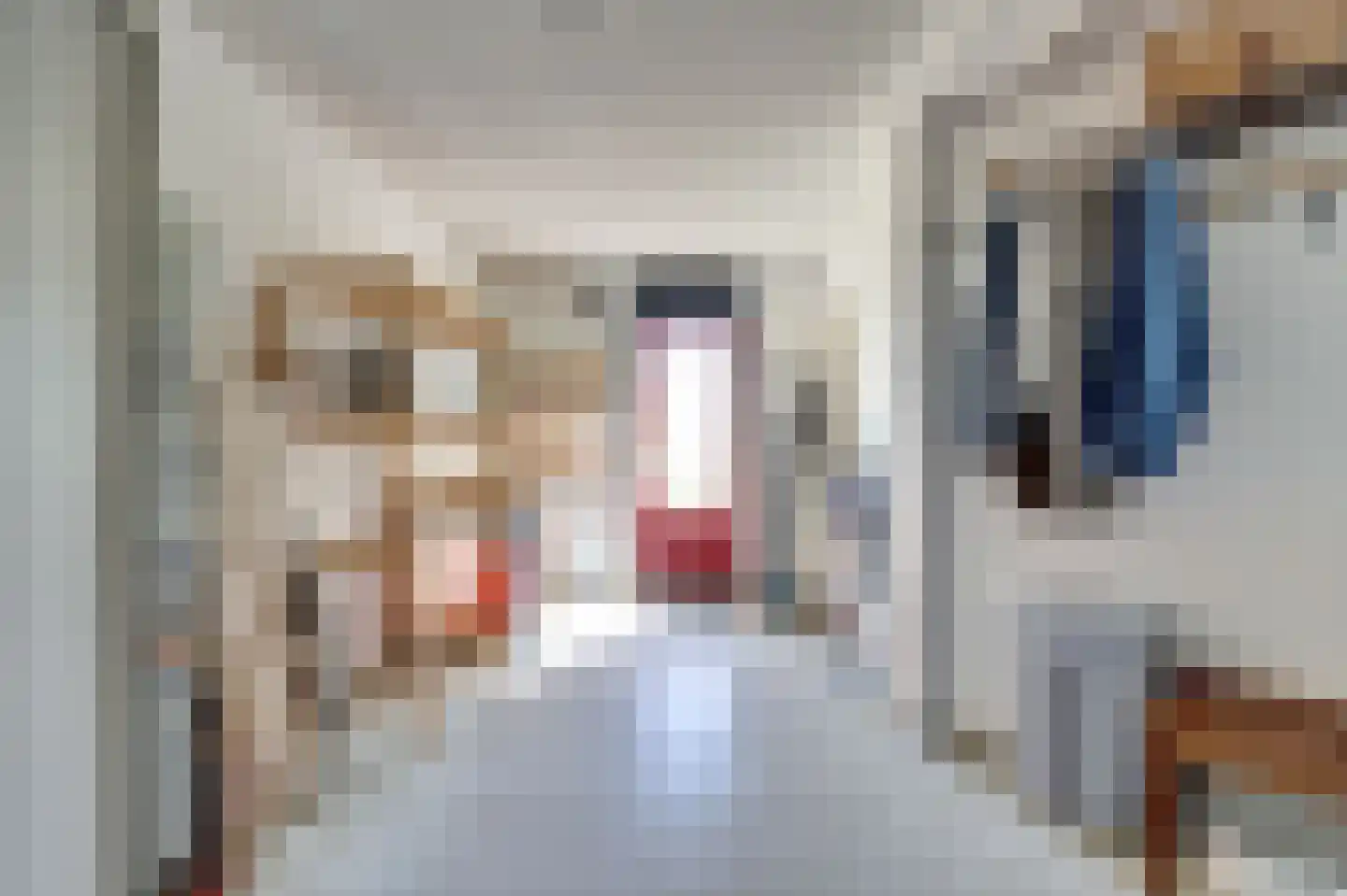 Dillegaarde 3 Gouda thumbnail 19
