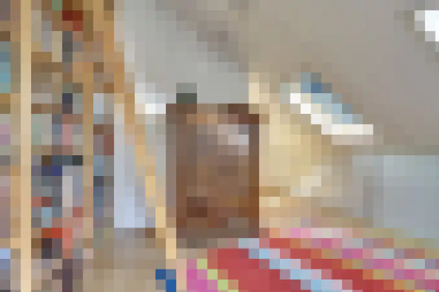 Dillegaarde 3 Gouda thumbnail 38