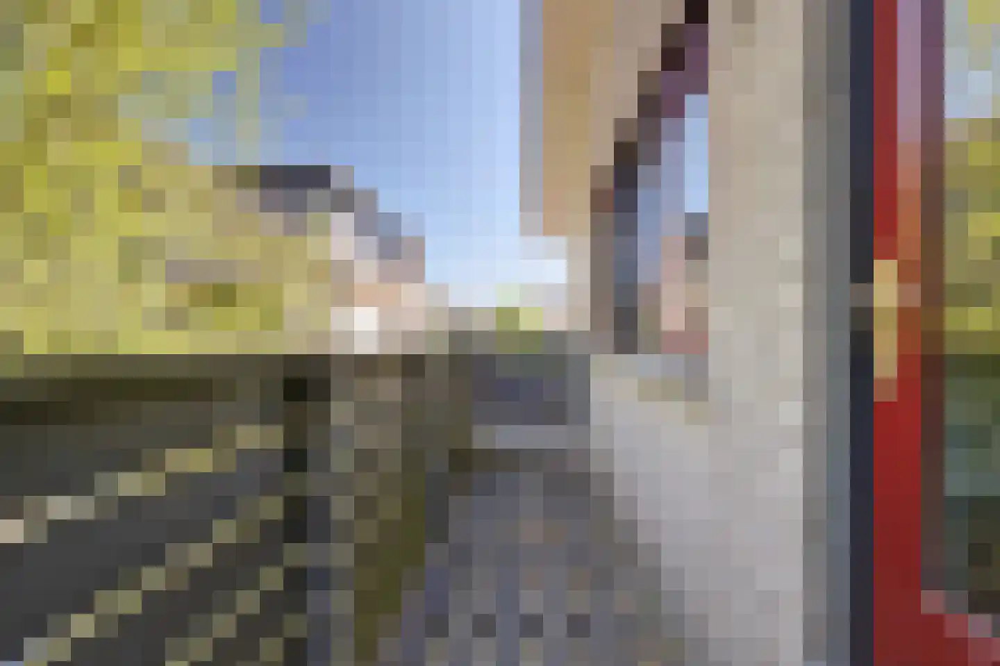 Dillegaarde 3 Gouda thumbnail 39