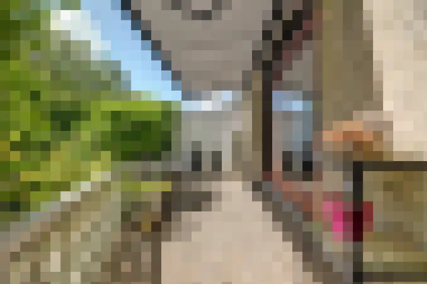 Dillegaarde 3 Gouda thumbnail 41