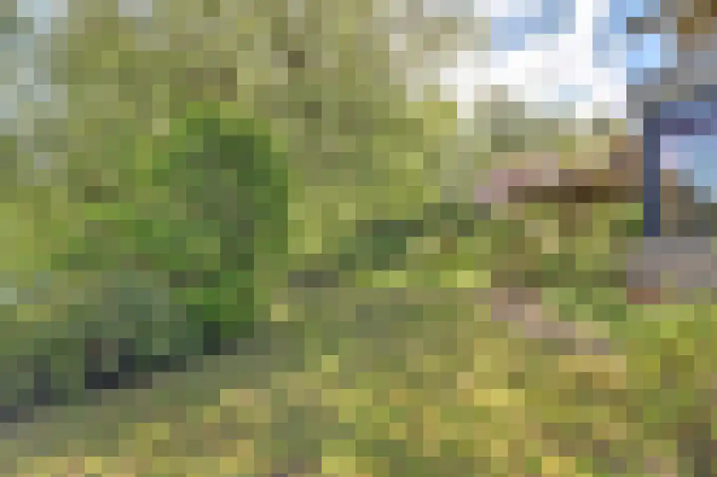Dillegaarde 3 Gouda thumbnail 43