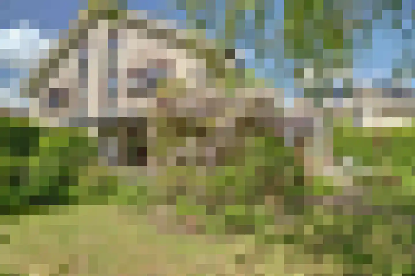 Dillegaarde 3 Gouda thumbnail 45