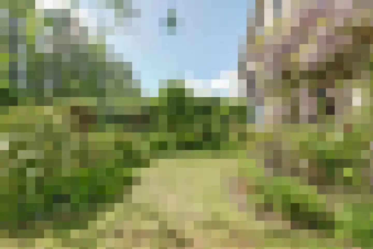 Dillegaarde 3 Gouda thumbnail 47