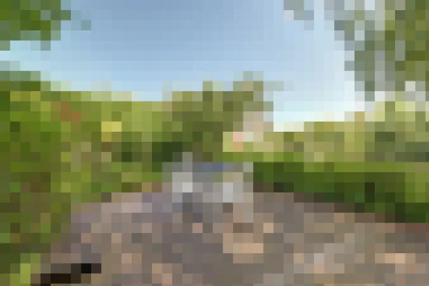 Dillegaarde 3 Gouda thumbnail 48