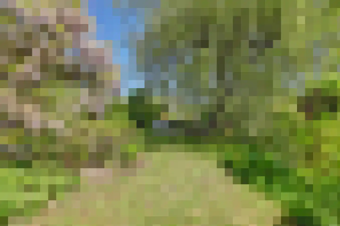 Dillegaarde 3 Gouda thumbnail 49