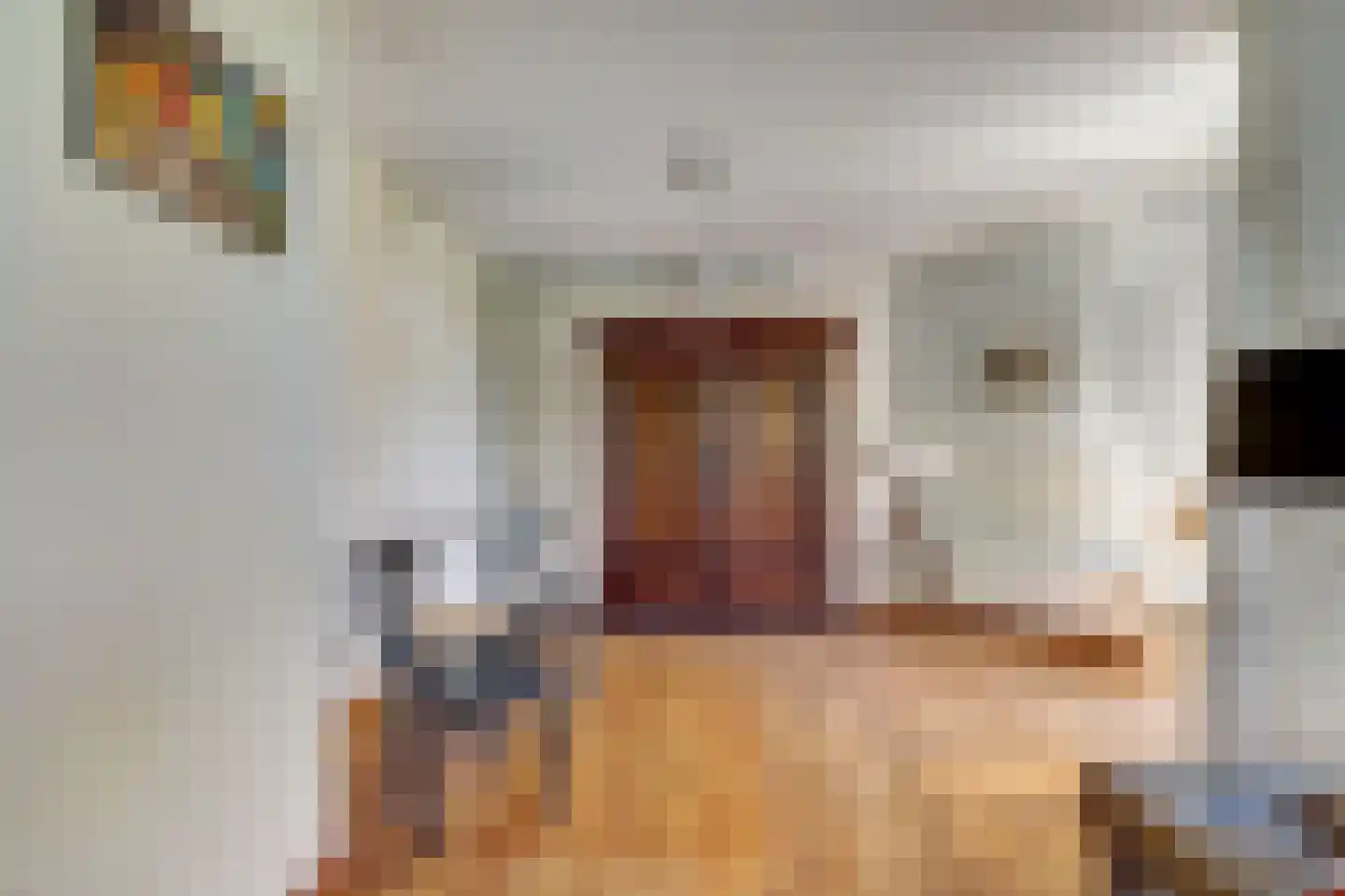 Dillegaarde 3 Gouda thumbnail 5
