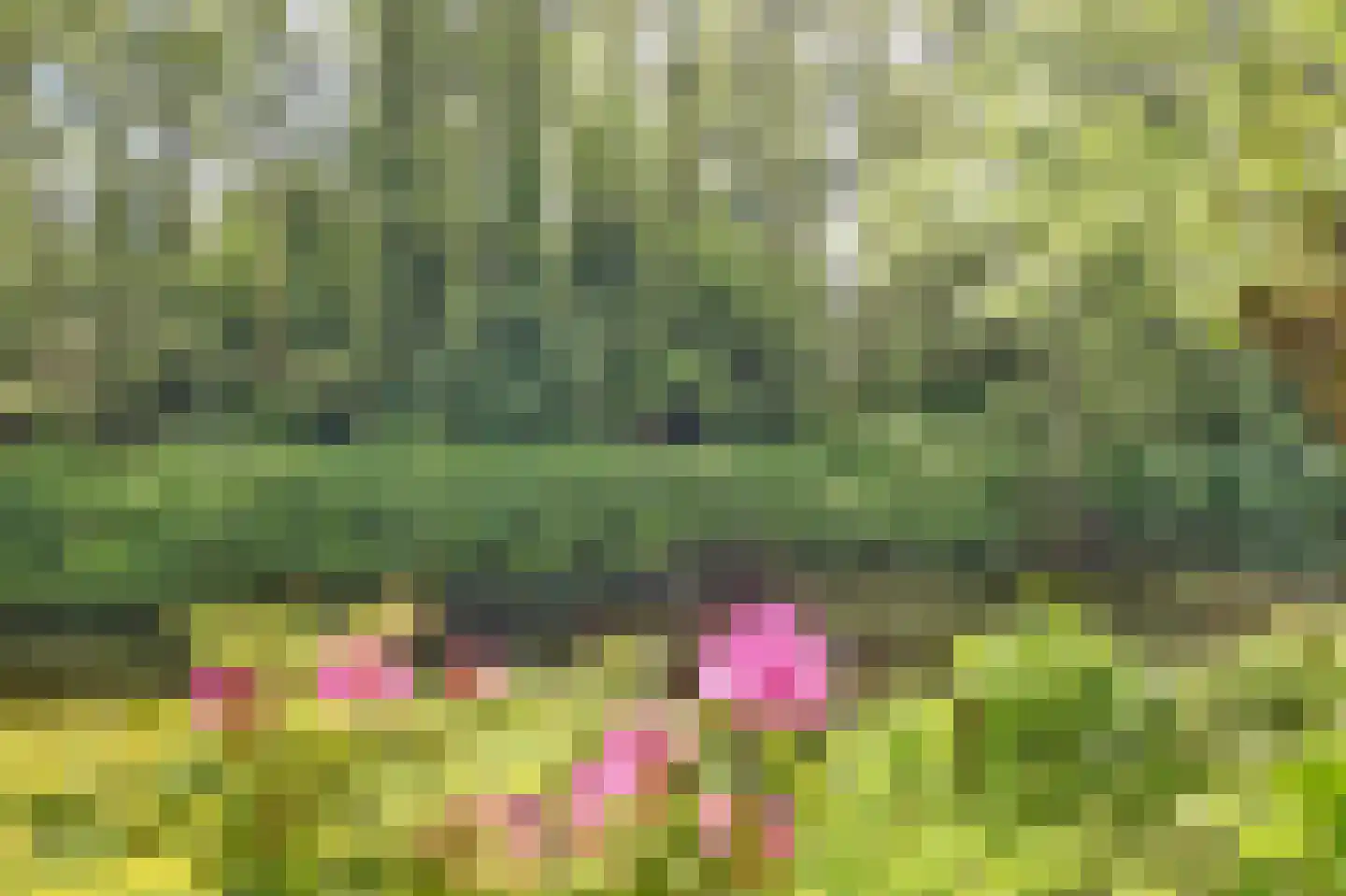 Dillegaarde 3 Gouda thumbnail 51
