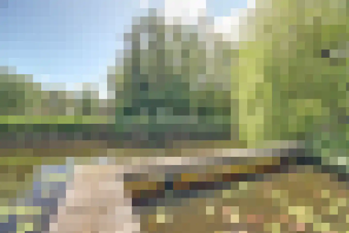 Dillegaarde 3 Gouda thumbnail 52
