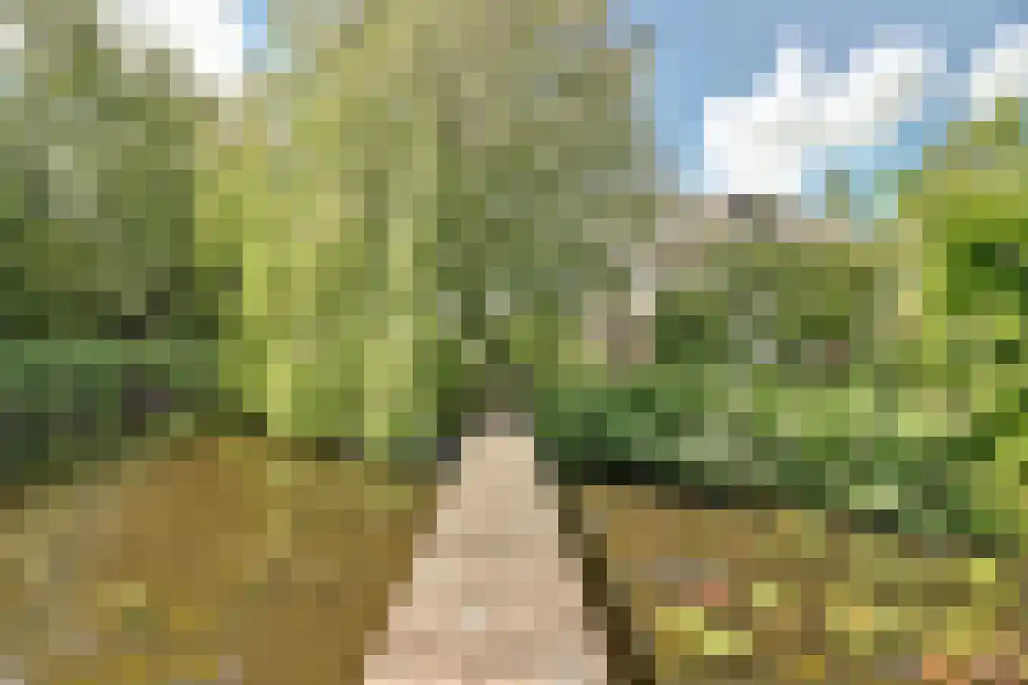 Dillegaarde 3 Gouda thumbnail 53