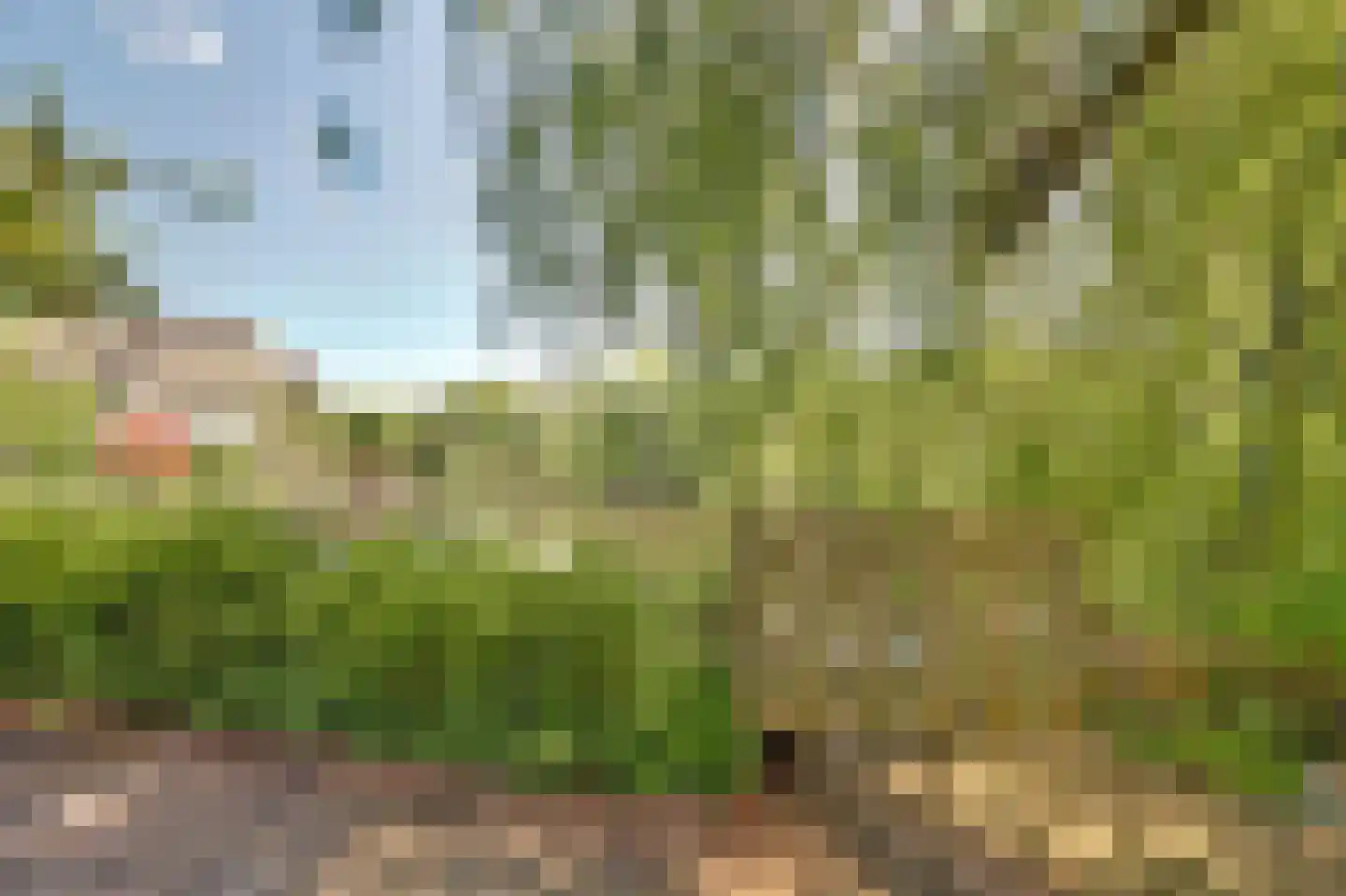 Dillegaarde 3 Gouda thumbnail 54