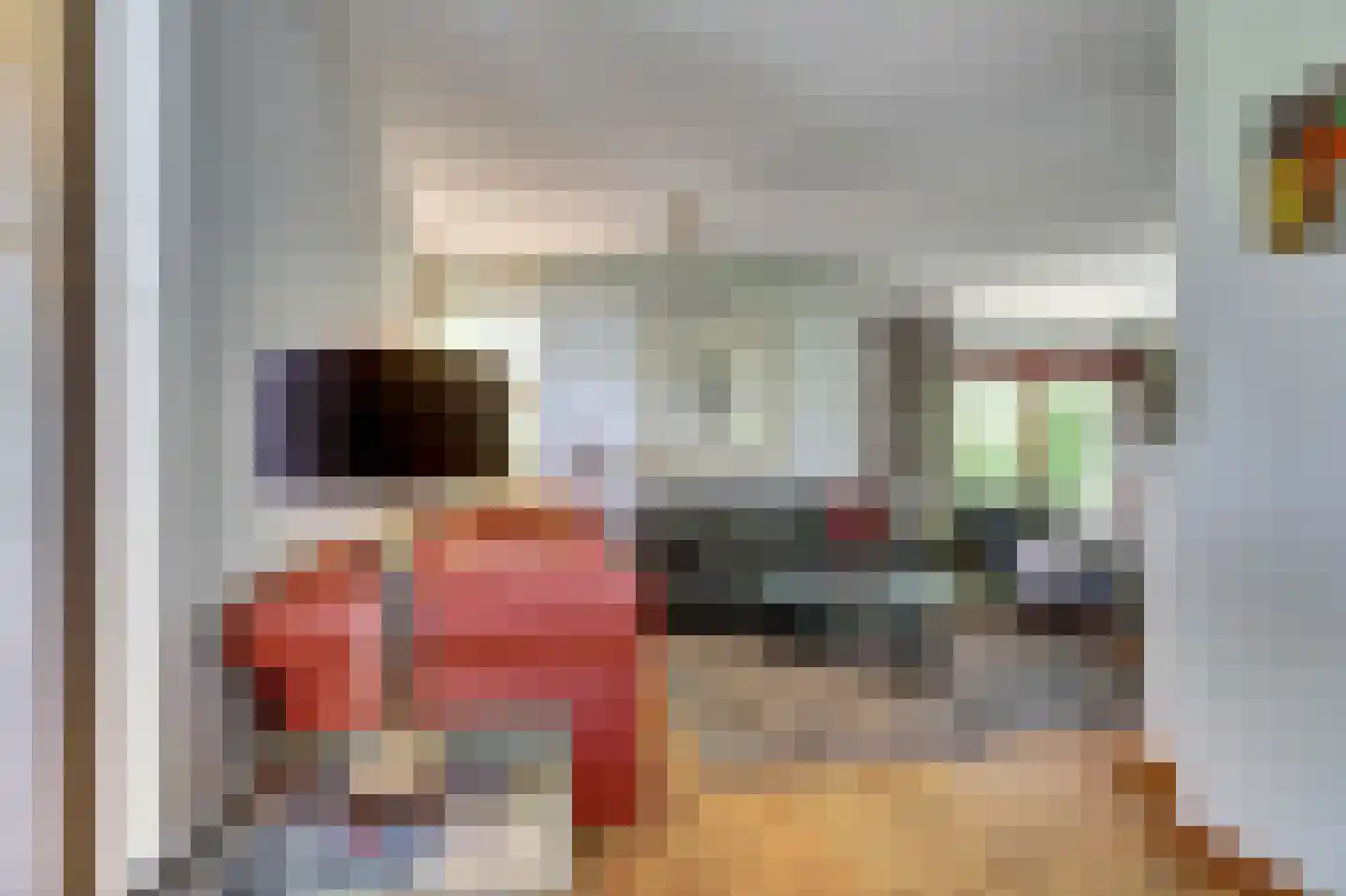 Dillegaarde 3 Gouda thumbnail 6
