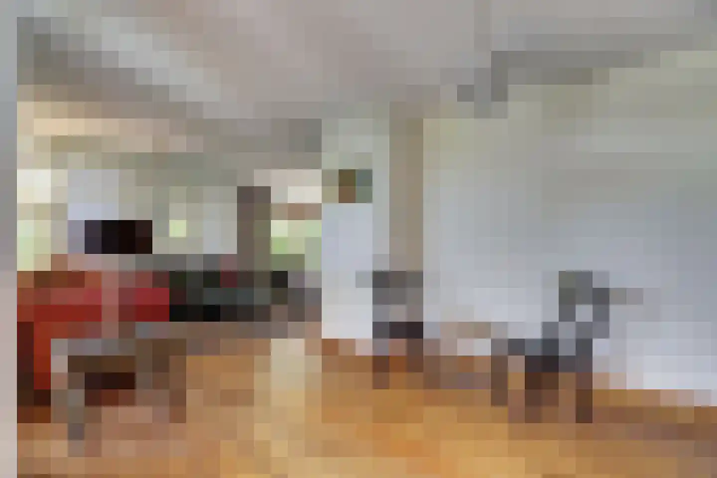 Dillegaarde 3 Gouda thumbnail 7