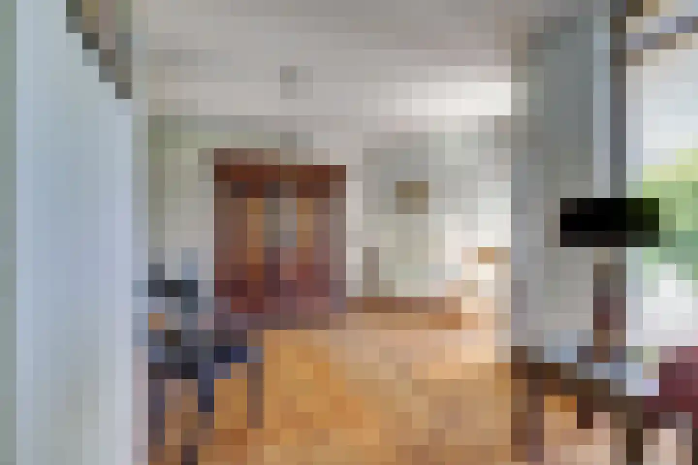 Dillegaarde 3 Gouda thumbnail 8