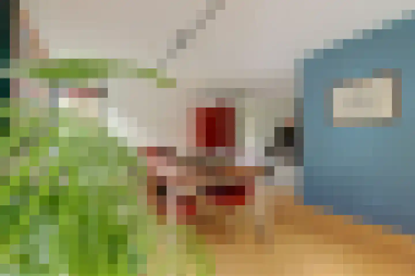Dillegaarde 4 Gouda thumbnail 13