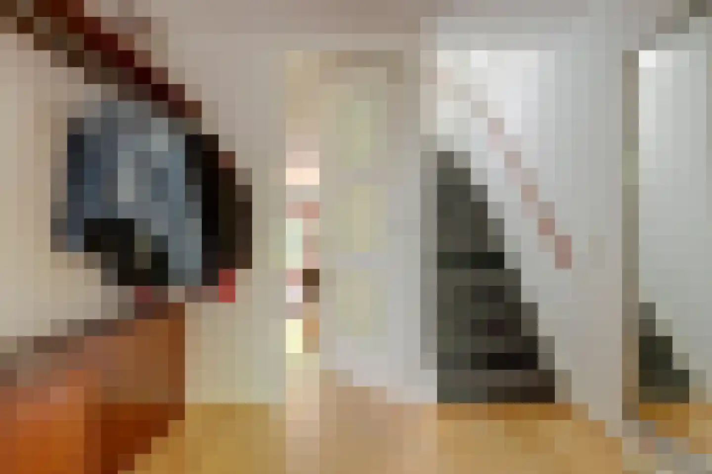 Dillegaarde 4 Gouda thumbnail 22
