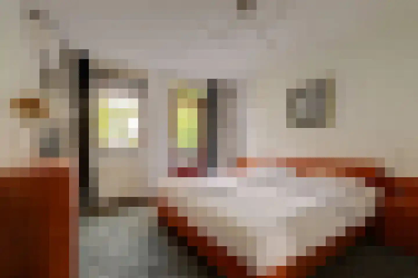 Dillegaarde 4 Gouda thumbnail 26