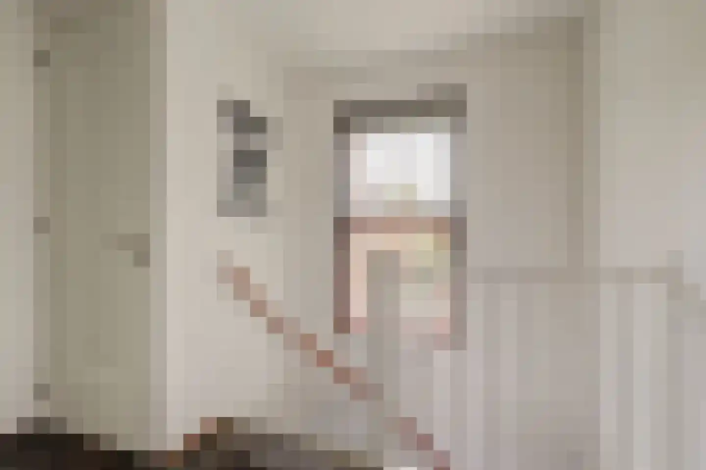 Dillegaarde 4 Gouda thumbnail 33