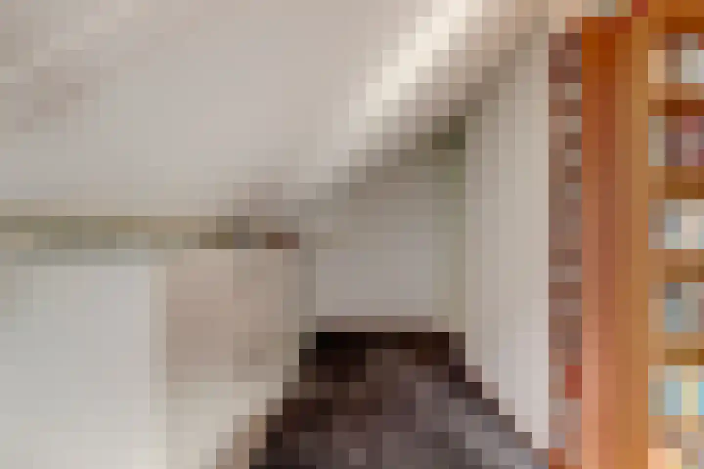 Dillegaarde 4 Gouda thumbnail 34