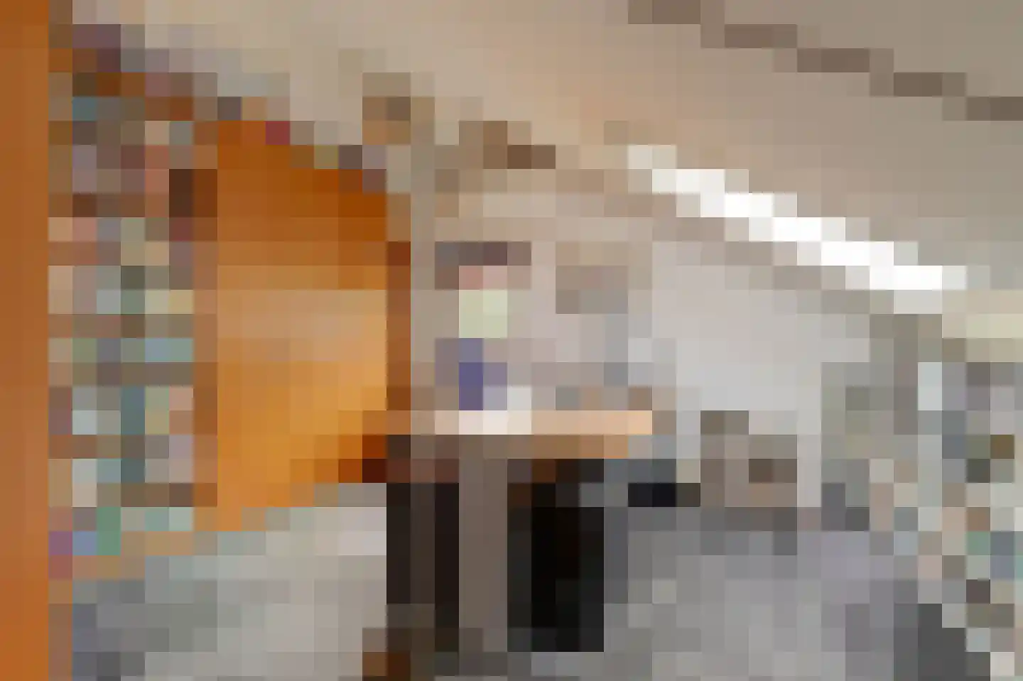 Dillegaarde 4 Gouda thumbnail 35