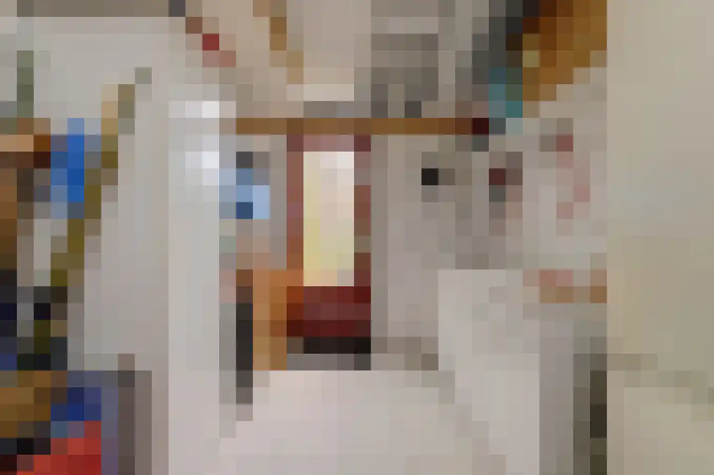 Dillegaarde 4 Gouda thumbnail 38