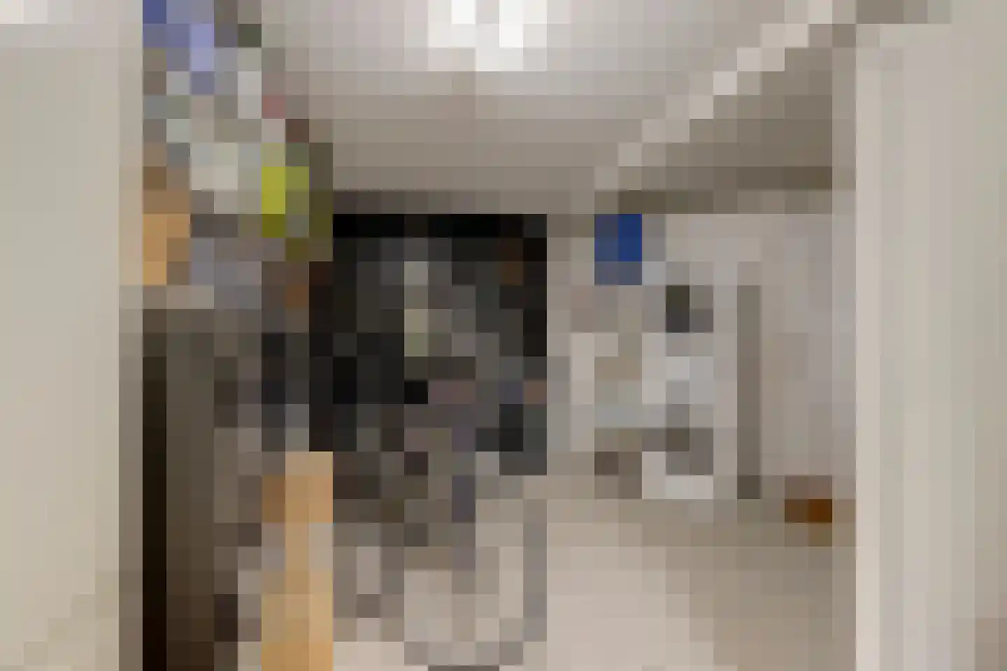 Dillegaarde 4 Gouda thumbnail 39