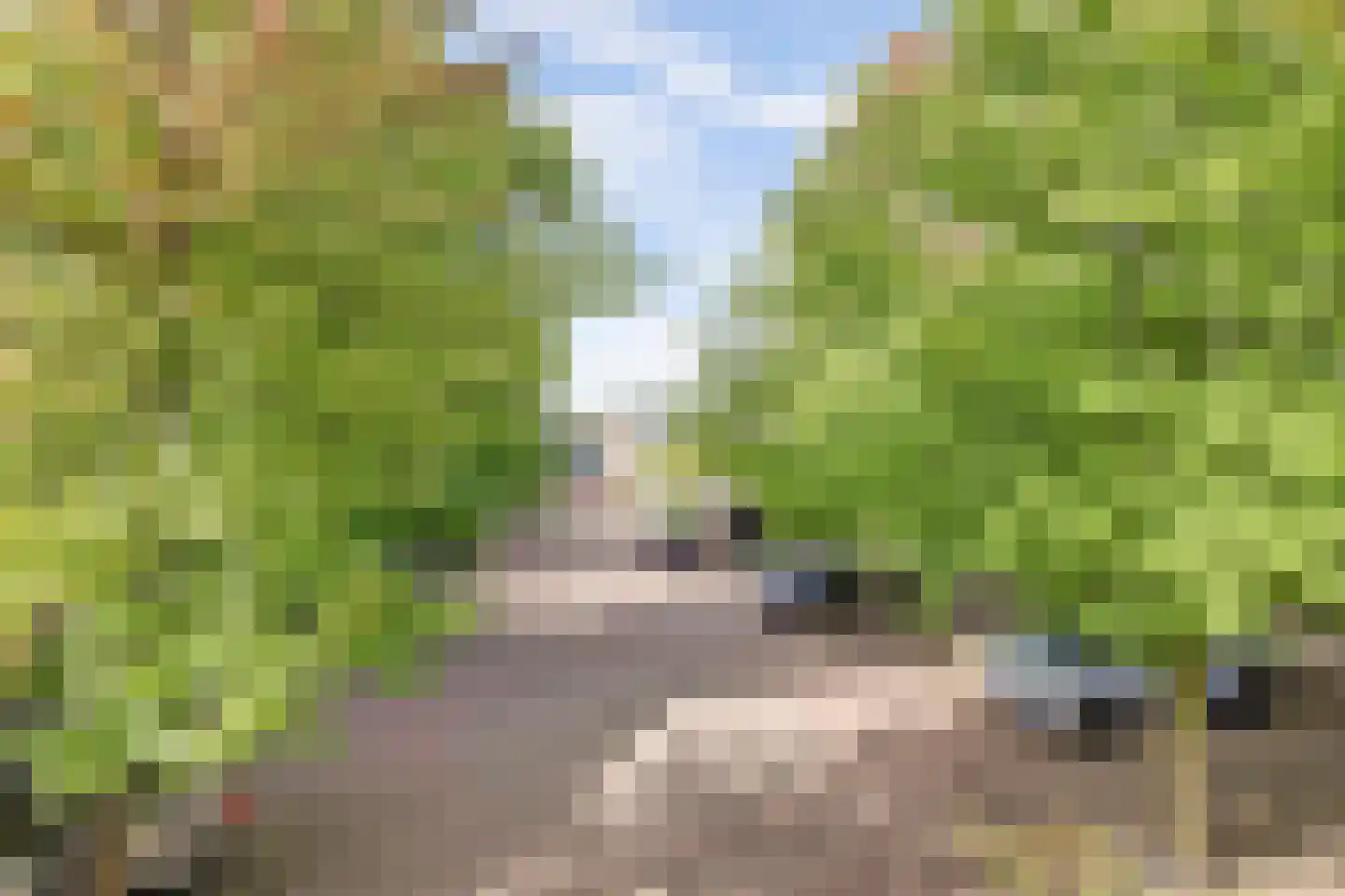 Dillegaarde 4 Gouda thumbnail 53