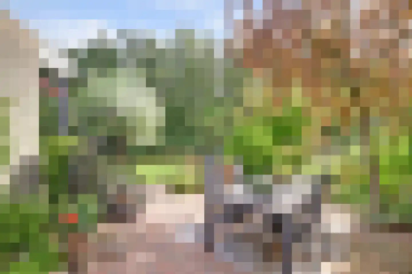 Dillegaarde 4 Gouda thumbnail 55