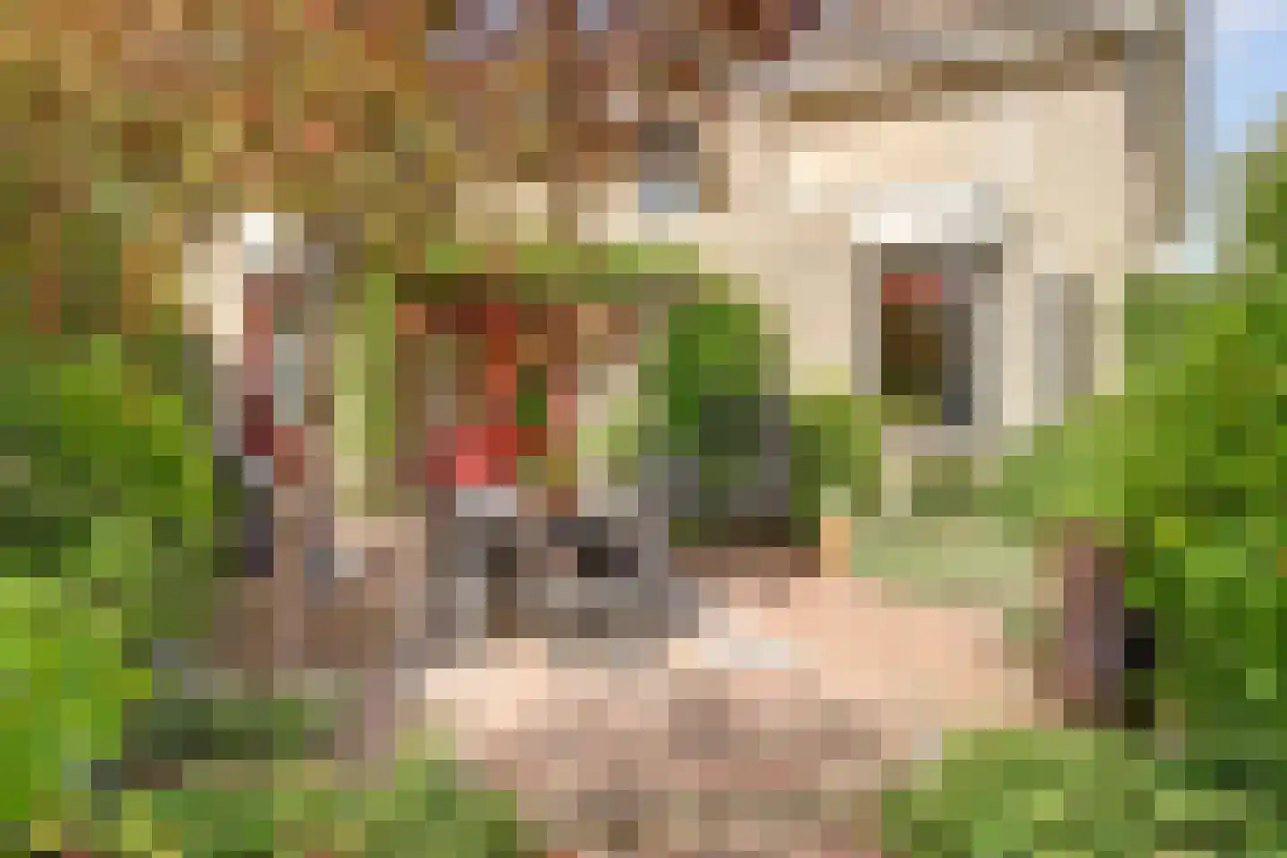 Dillegaarde 4 Gouda thumbnail 58