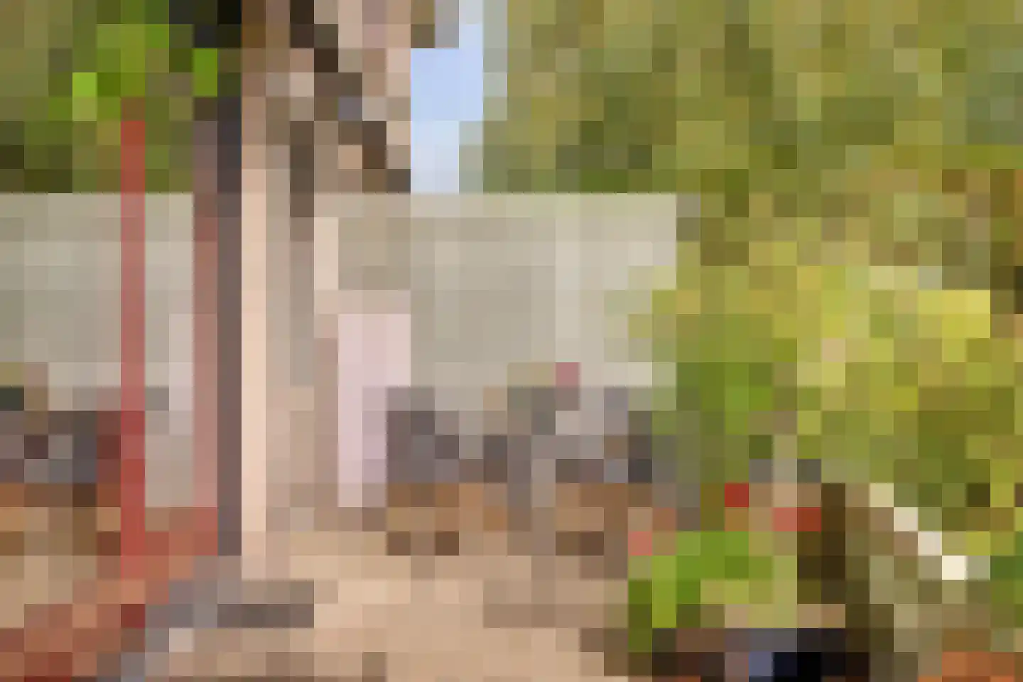 Dillegaarde 4 Gouda thumbnail 60