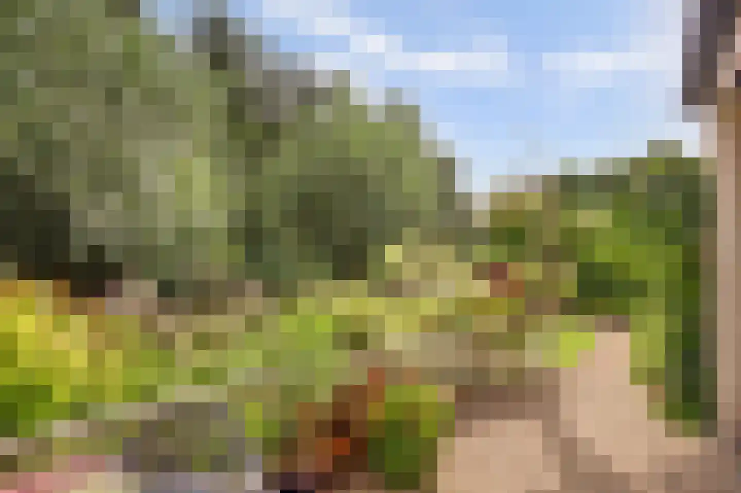 Dillegaarde 4 Gouda thumbnail 61