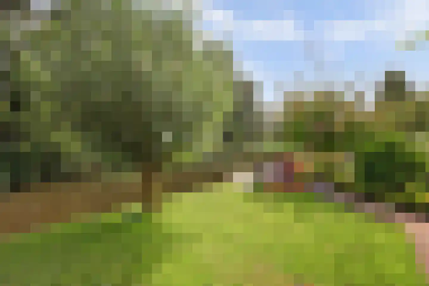 Dillegaarde 4 Gouda thumbnail 62