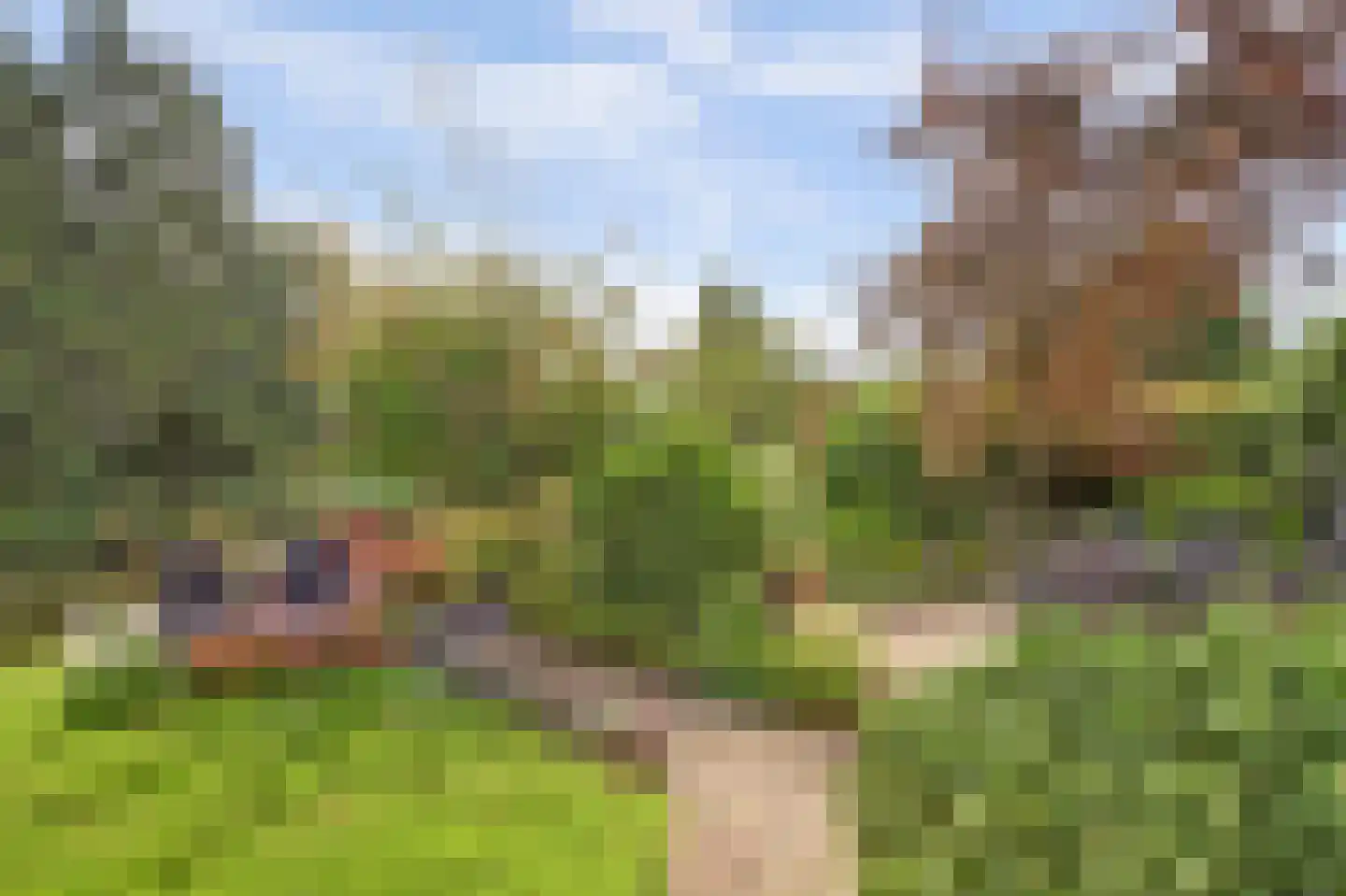 Dillegaarde 4 Gouda thumbnail 63