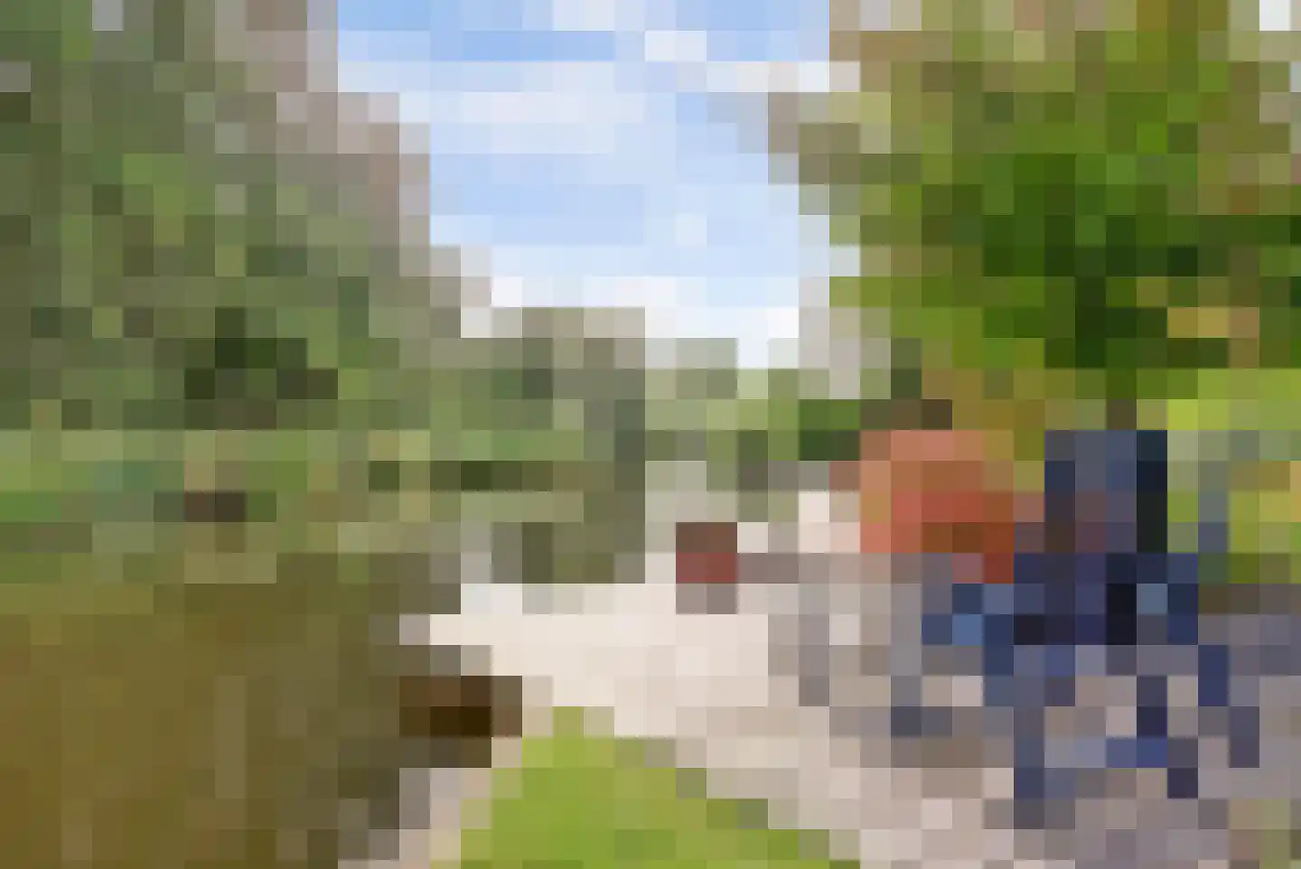 Dillegaarde 4 Gouda thumbnail 64