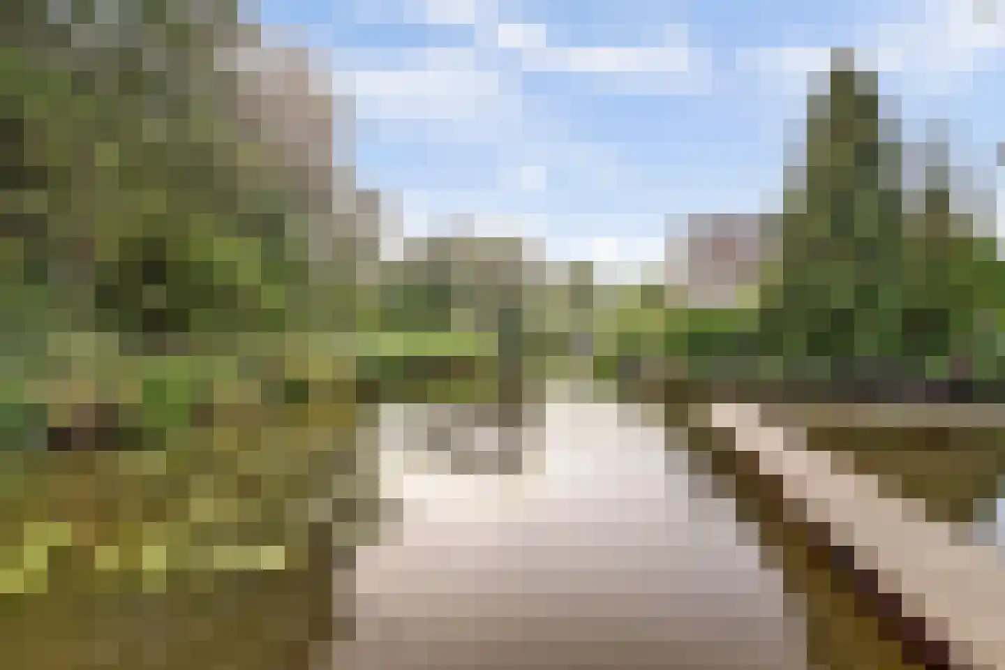 Dillegaarde 4 Gouda thumbnail 65