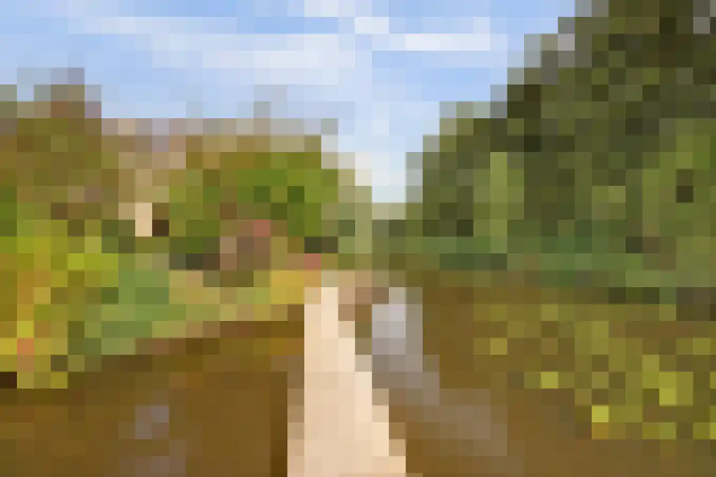 Dillegaarde 4 Gouda thumbnail 66