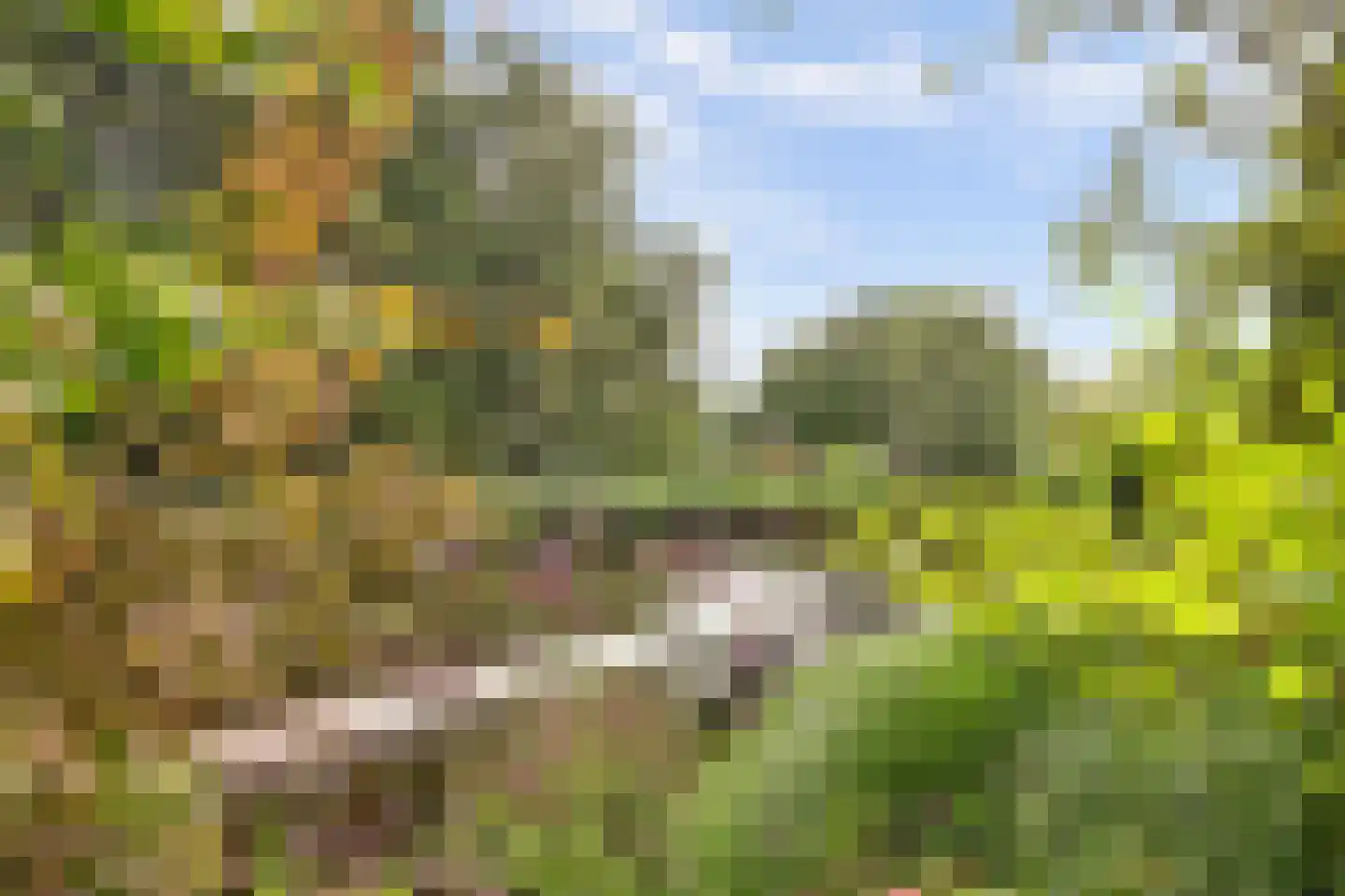 Dillegaarde 4 Gouda thumbnail 68