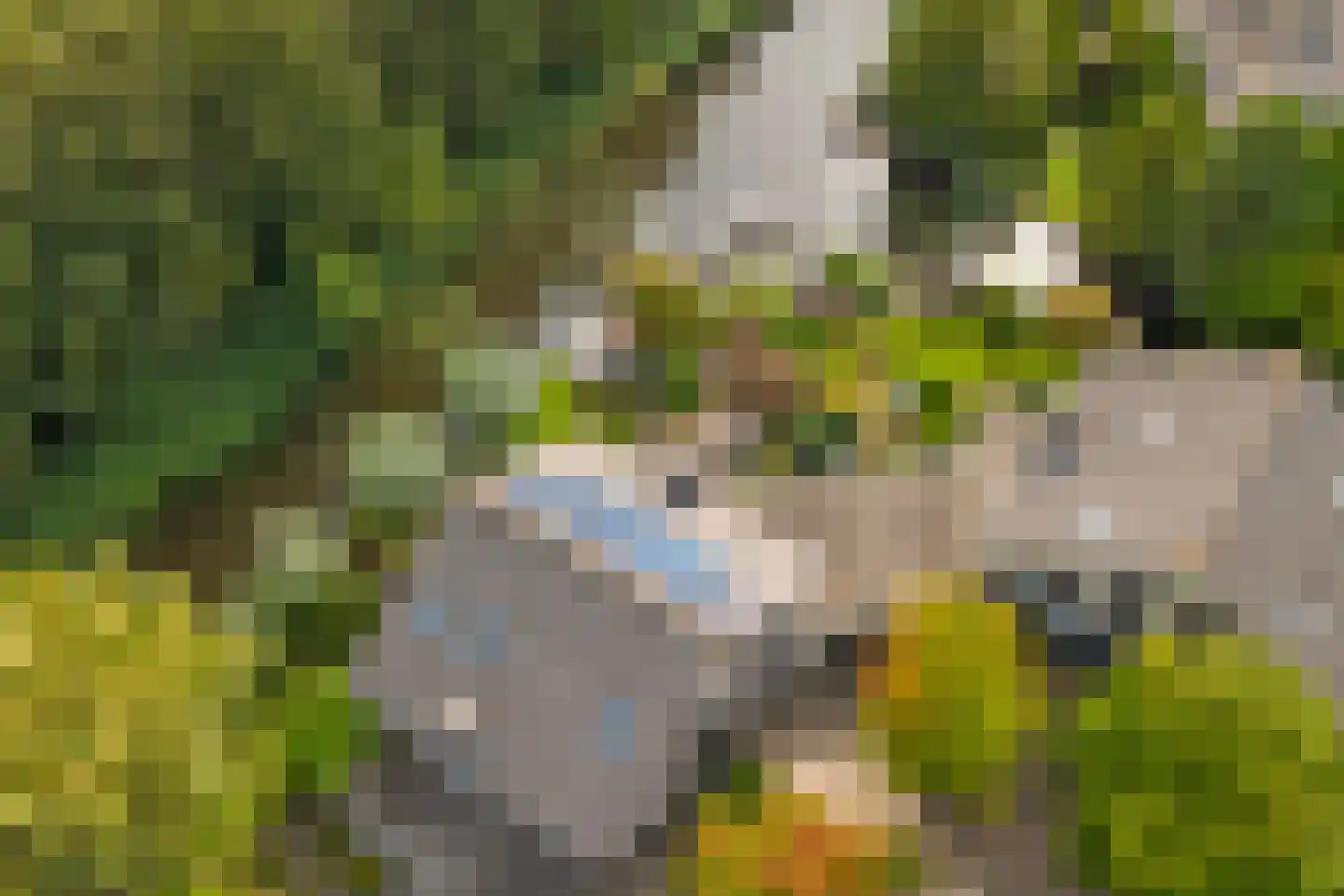 Dillegaarde 4 Gouda thumbnail 70